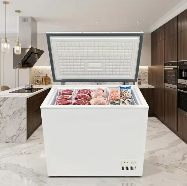 Horizontal Chest Freezer Top Open Deep Freezer Direct Cooling Mechanical High Efficiency Stylish Appearance Factory Price