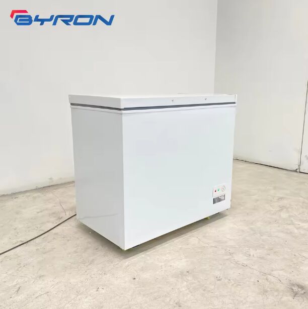 Horizontal Chest Freezer Top Open Deep Freezer Direct Cooling Mechanical High Efficiency Stylish Appearance Factory Price
