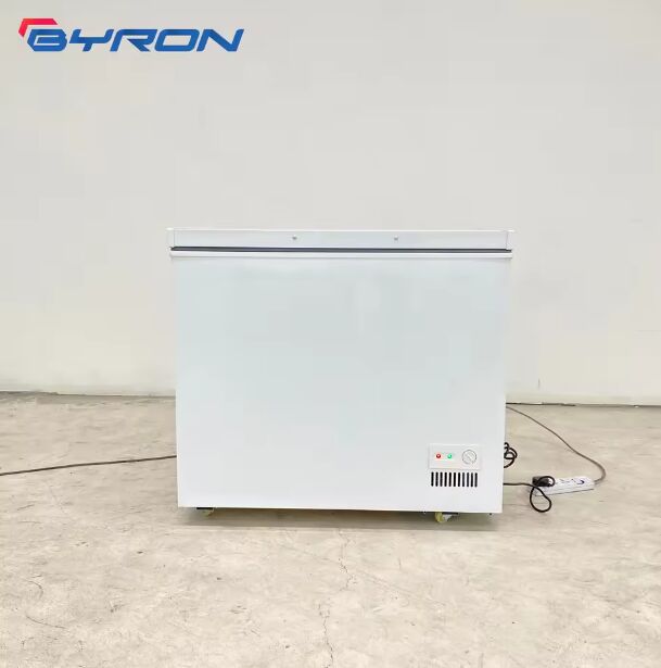 Horizontal Chest Freezer Top Open Deep Freezer Direct Cooling Mechanical High Efficiency Stylish Appearance Factory Price