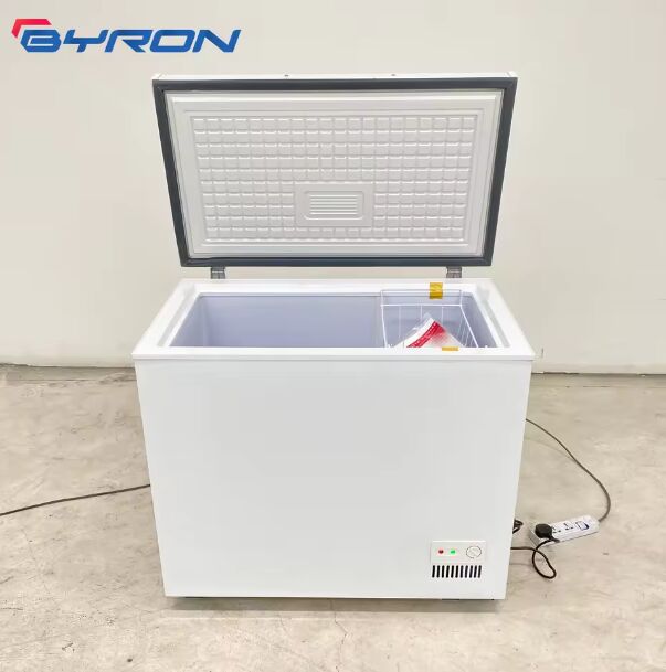 Horizontal Chest Freezer Top Open Deep Freezer Direct Cooling Mechanical High Efficiency Stylish Appearance Factory Price
