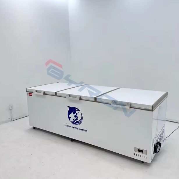 Ultra Low Temperature Freezer-60 Degree Deep Freezer Frozen Commercial Laboratory Low Temperature Freezer for Vaccine Storage