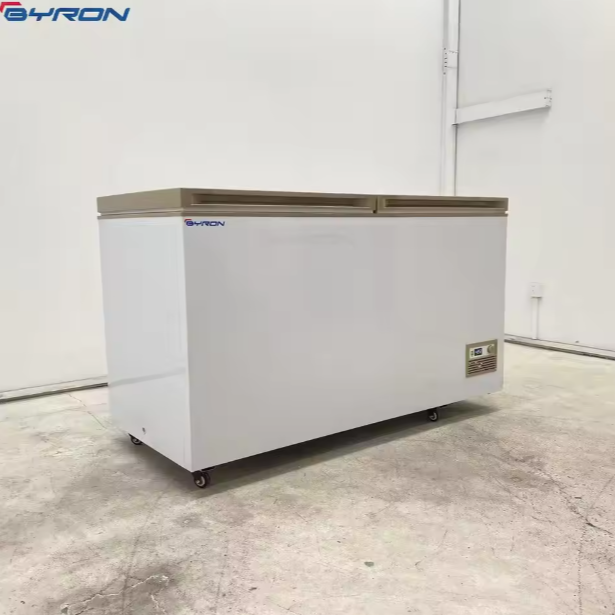 Commercial Chest Freezer -20℃ Deep Freezer for Frozen Pizza & Ready Meal Storage in Supermarket Frozen Aisles