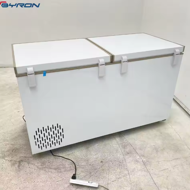 Commercial Chest Freezer -20℃ Deep Freezer for Frozen Pizza & Ready Meal Storage in Supermarket Frozen Aisles