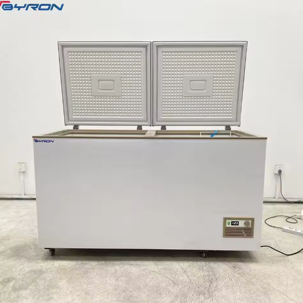 Commercial Chest Freezer -20℃ Deep Freezer for Frozen Pizza & Ready Meal Storage in Supermarket Frozen Aisles