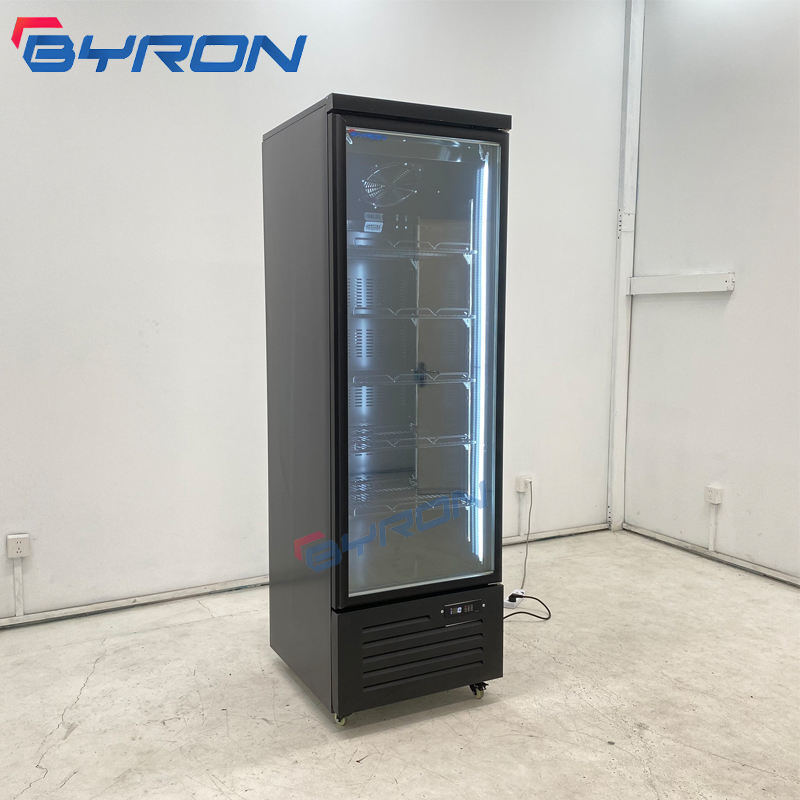 Byron Clear Vertical Ice Cream Cake Upright Display Small Freezer for Ice Cream with Supermarket Multidecks Commercial