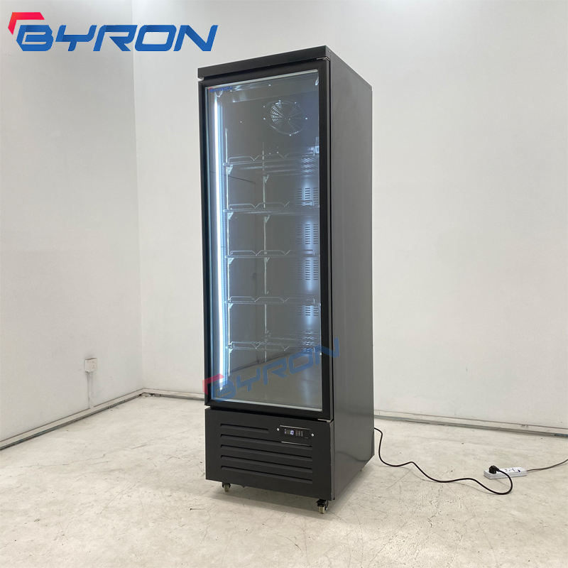Byron Clear Vertical Ice Cream Cake Upright Display Small Freezer for Ice Cream with Supermarket Multidecks Commercial
