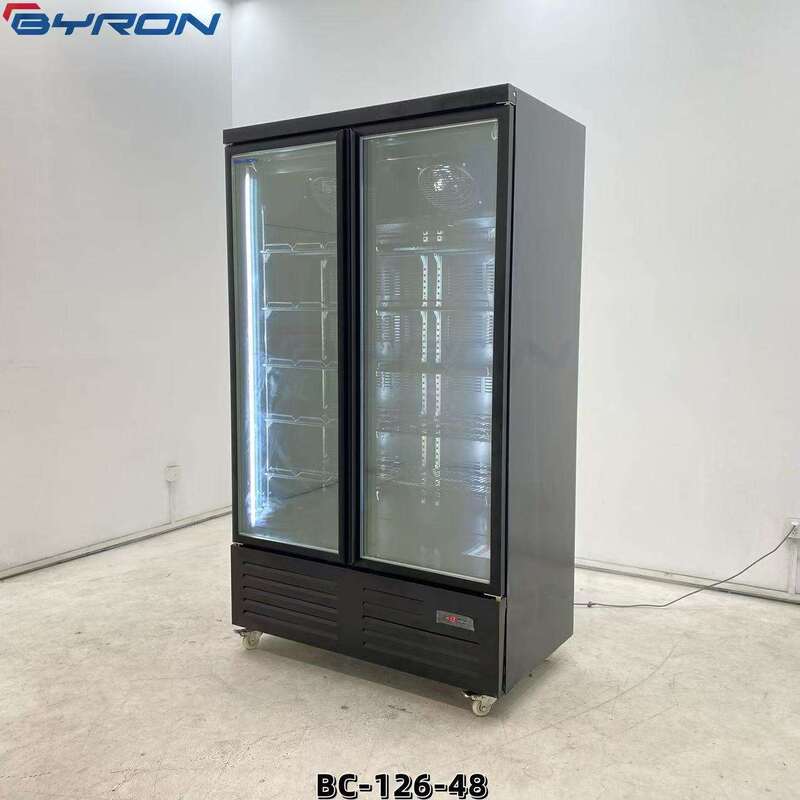 Byron Clear Vertical Ice Cream Cake Upright Display Small Freezer for Ice Cream with Supermarket Multidecks Commercial