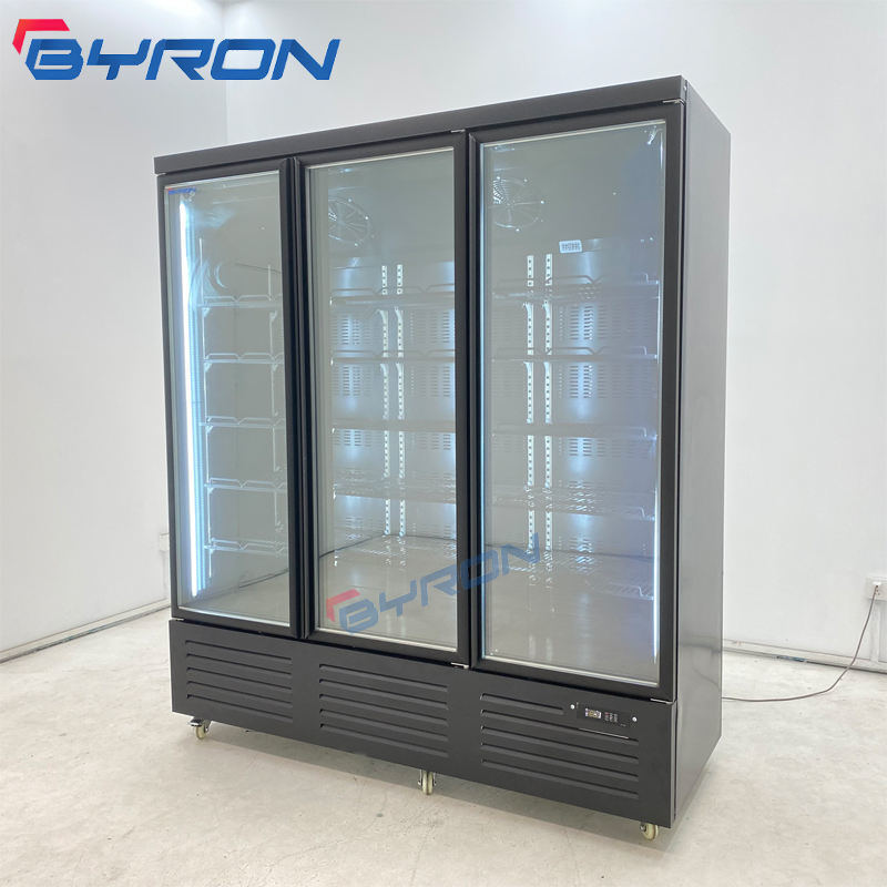 Byron Clear Vertical Ice Cream Cake Upright Display Small Freezer for Ice Cream with Supermarket Multidecks Commercial