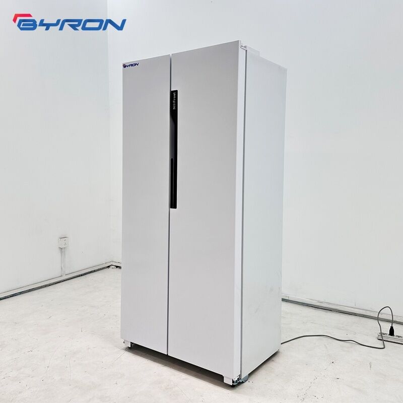 Household Double Door Dual Temperature Fridge Low Noise Large Capacity For Apartment Daily Use